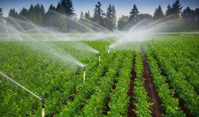 الري الحديث