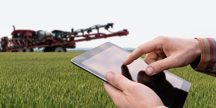 Egypts AgriTech Ecosystem Strives For Growth Amid Funding And Regulatory Challenges