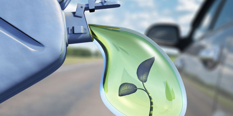 الوقود الحيوى، المصدر Getty Images/iStockphoto