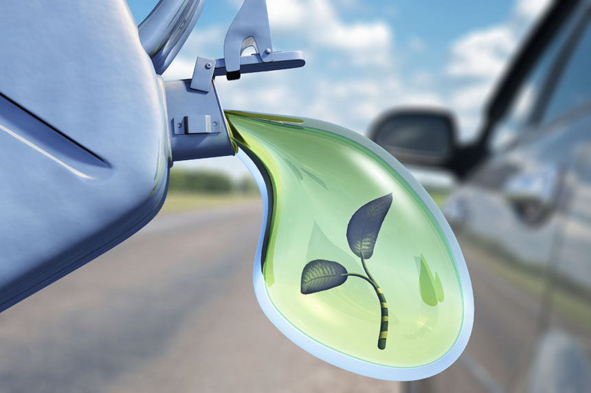 الوقود الحيوى، المصدر Getty Images/iStockphoto