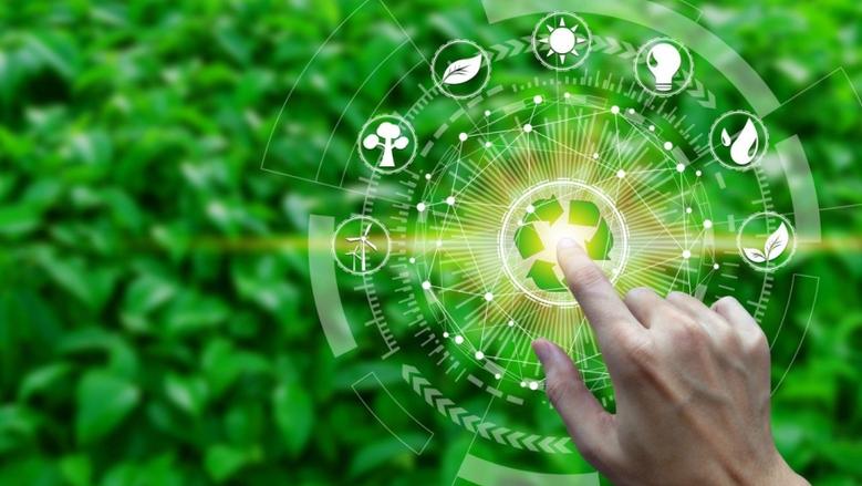 دراسة حديثة: المرأة والشباب.. وقود التحول الأخضر بالشركات 