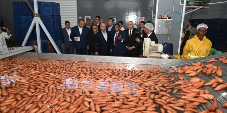 افتتاح مصنع "أجرو جرين" في "جمصة" باستثمارات 300 مليون جنيه