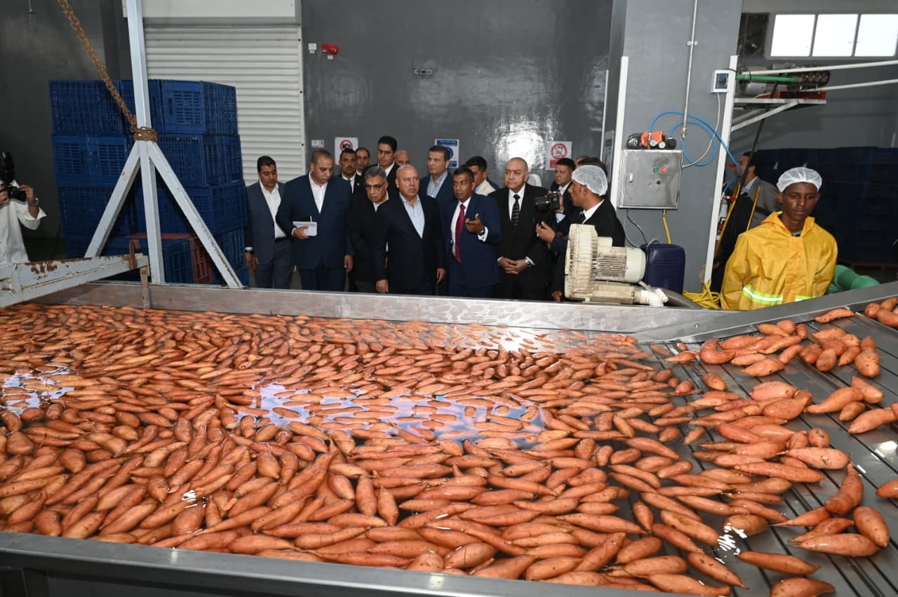 افتتاح مصنع "أجرو جرين" في "جمصة" باستثمارات 300 مليون جنيه