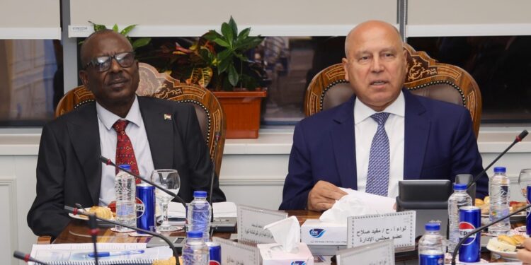 مصر والسودان تتابعان خطة رفع كفاءة 18 وحدة نهرية