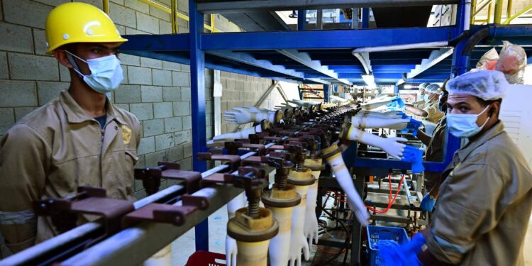 افتتاح مصنع "سيناي" للقفازات الطبية في "السخنة" باستثمارات 4 ملايين دولار