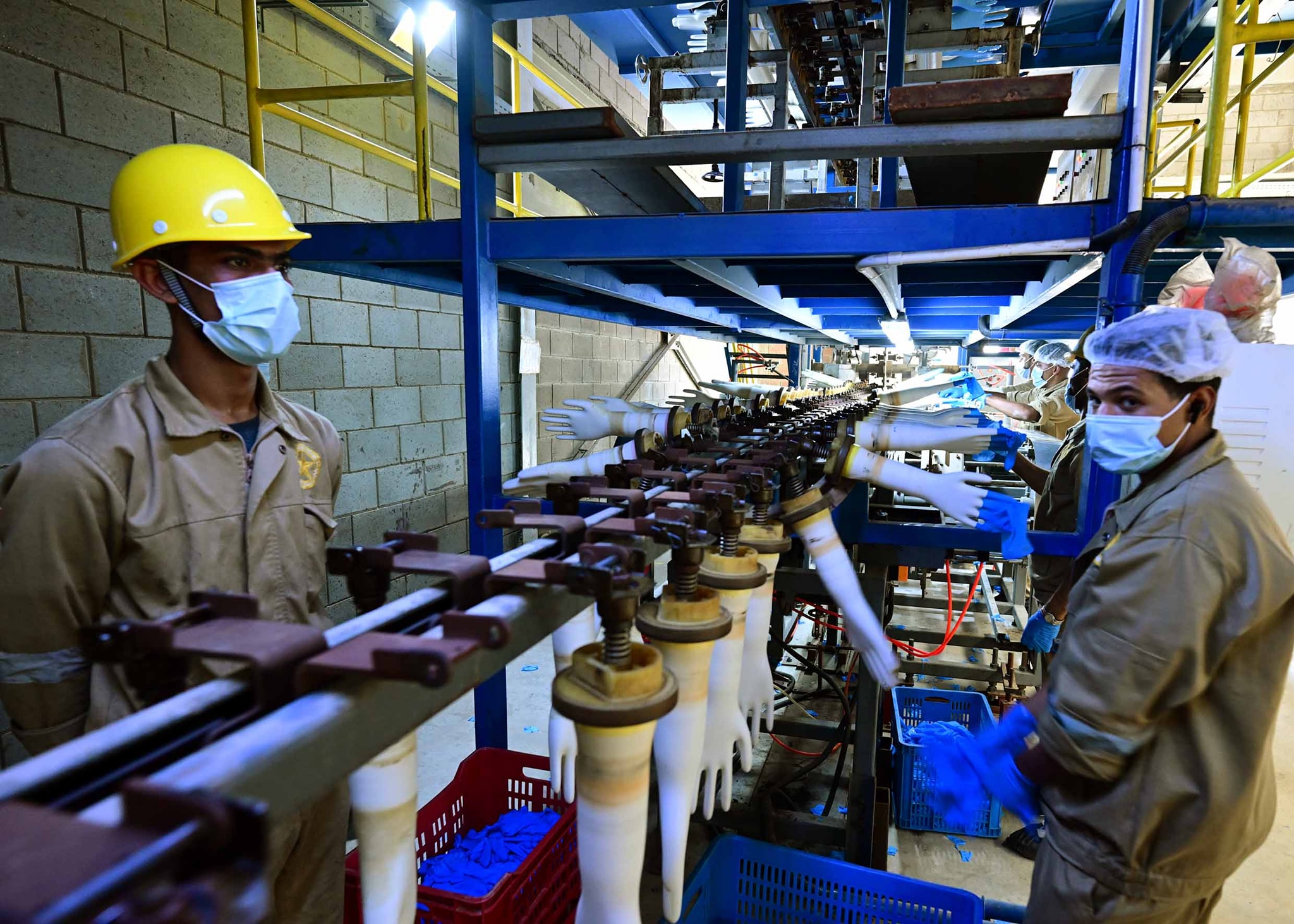 افتتاح مصنع "سيناي" للقفازات الطبية في "السخنة" باستثمارات 4 ملايين دولار