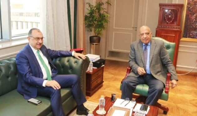 وزيرا الكهرباء وقطاع الأعمال العام