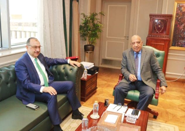 وزيرا الكهرباء وقطاع الأعمال العام