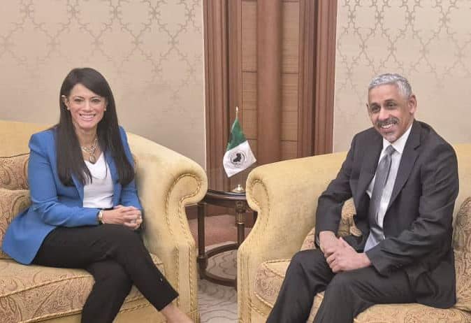 “المشاط” تبحث مع رئيس بنك التنمية الإفريقي عددًا من الموضوعات الاستراتيجية