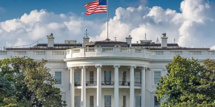 البيض الأبيض