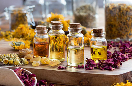 «نماء» لمكسبات الطعم والرائحة تضخ 250 مليون جنيه فى تطوير مصنع العاشر