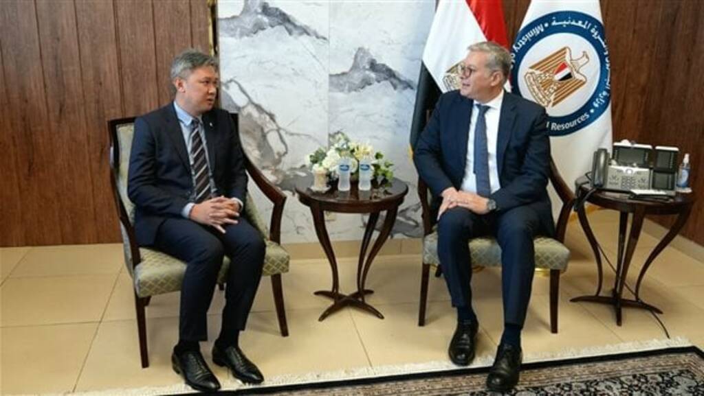 البترول تبحث مع بتروناس الماليزية تعزيز التعاون في مجال الغاز الطبيعي