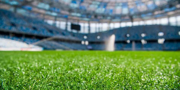 النجيل الصناعي