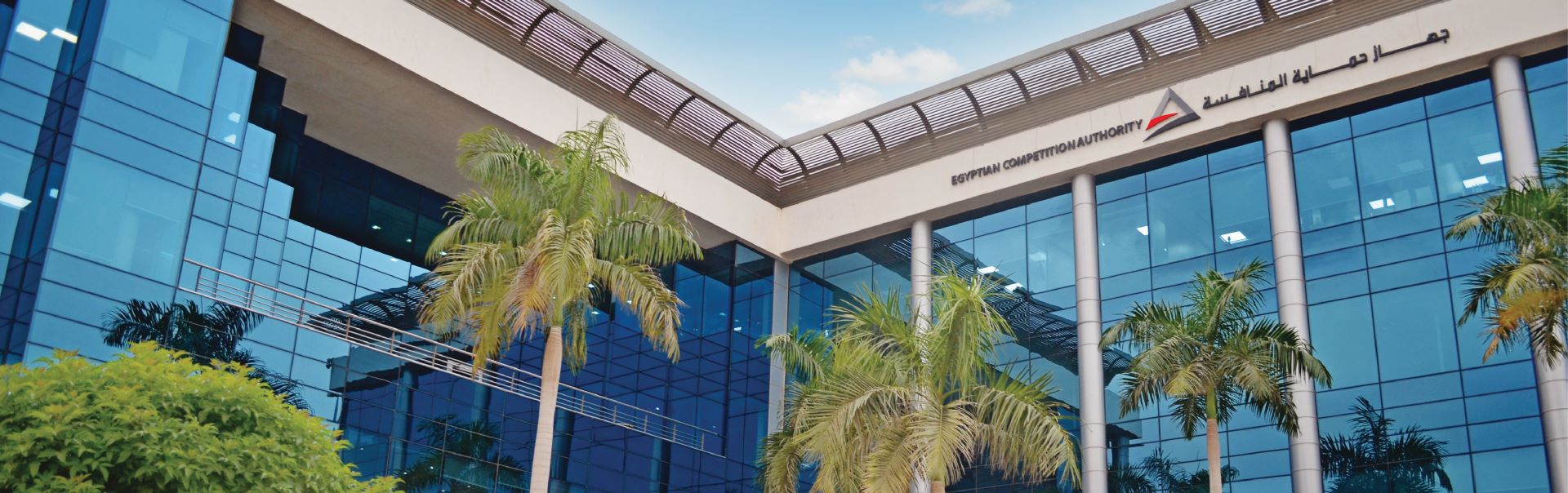 حماية المنافسة