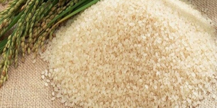 سعر طن الأرز الشعير اليوم