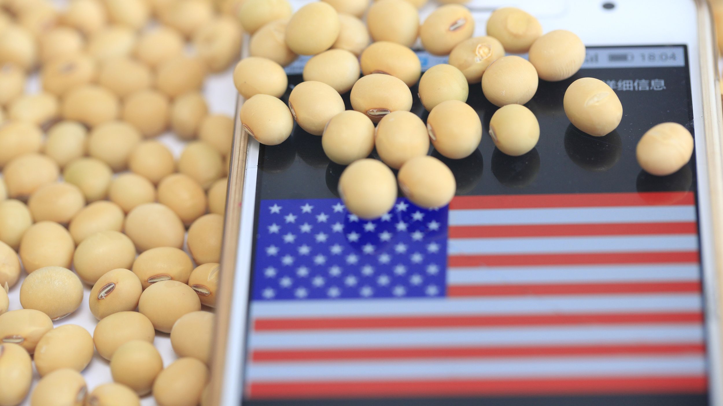 فول الصويا الأمريكي