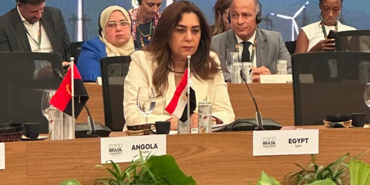 "البيئة": مصر تحتاج 250 مليار دولار لتحقيق التحول الشامل للطاقة النظيفة