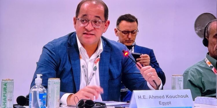 أحمد كجوك وزير المالية