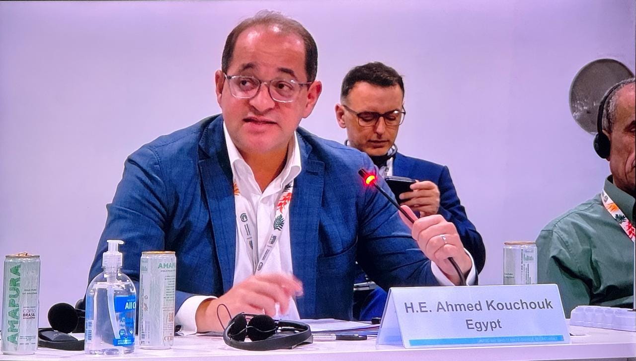 أحمد كجوك وزير المالية