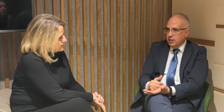 وزير الري: مستعدون للتعاون مع فرنسا في تحلية المياه متوسطة الملوحة