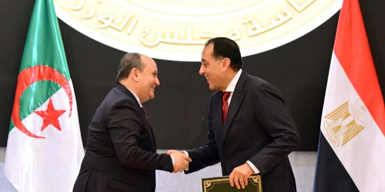 مصر والجزائر توقعان عدة وثائق لتعزيز التعاون الثنائي