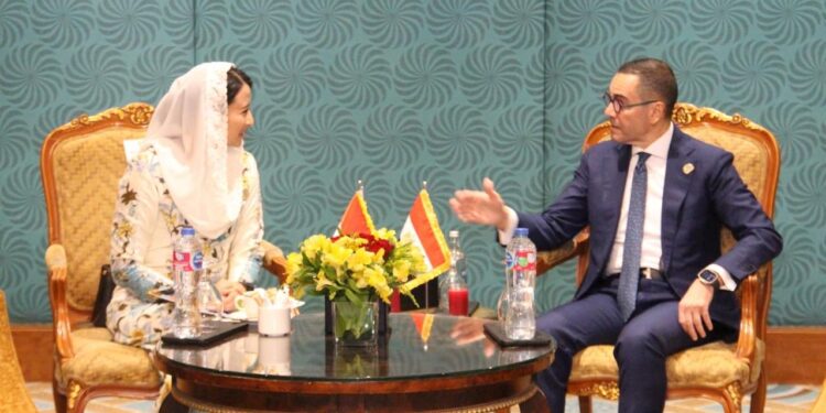مصر وإندونيسيا تبحثان تعزيز العلاقات التجارية والاستثمارية