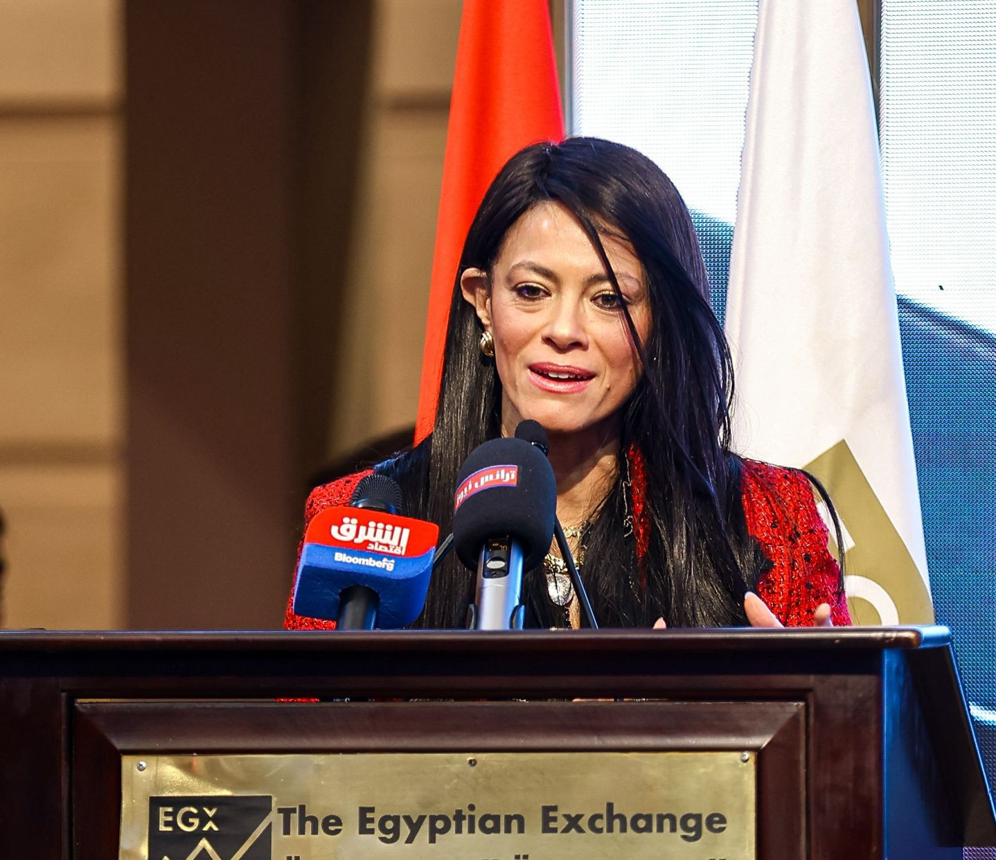 رانيا المشاط، وزيرة التخطيط والتنمية الاقتصادية والتعاون الدولي