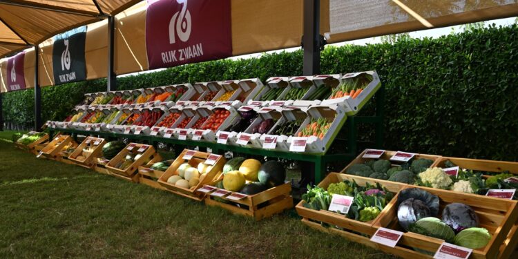 شركة «رايك زوان» الهولندية