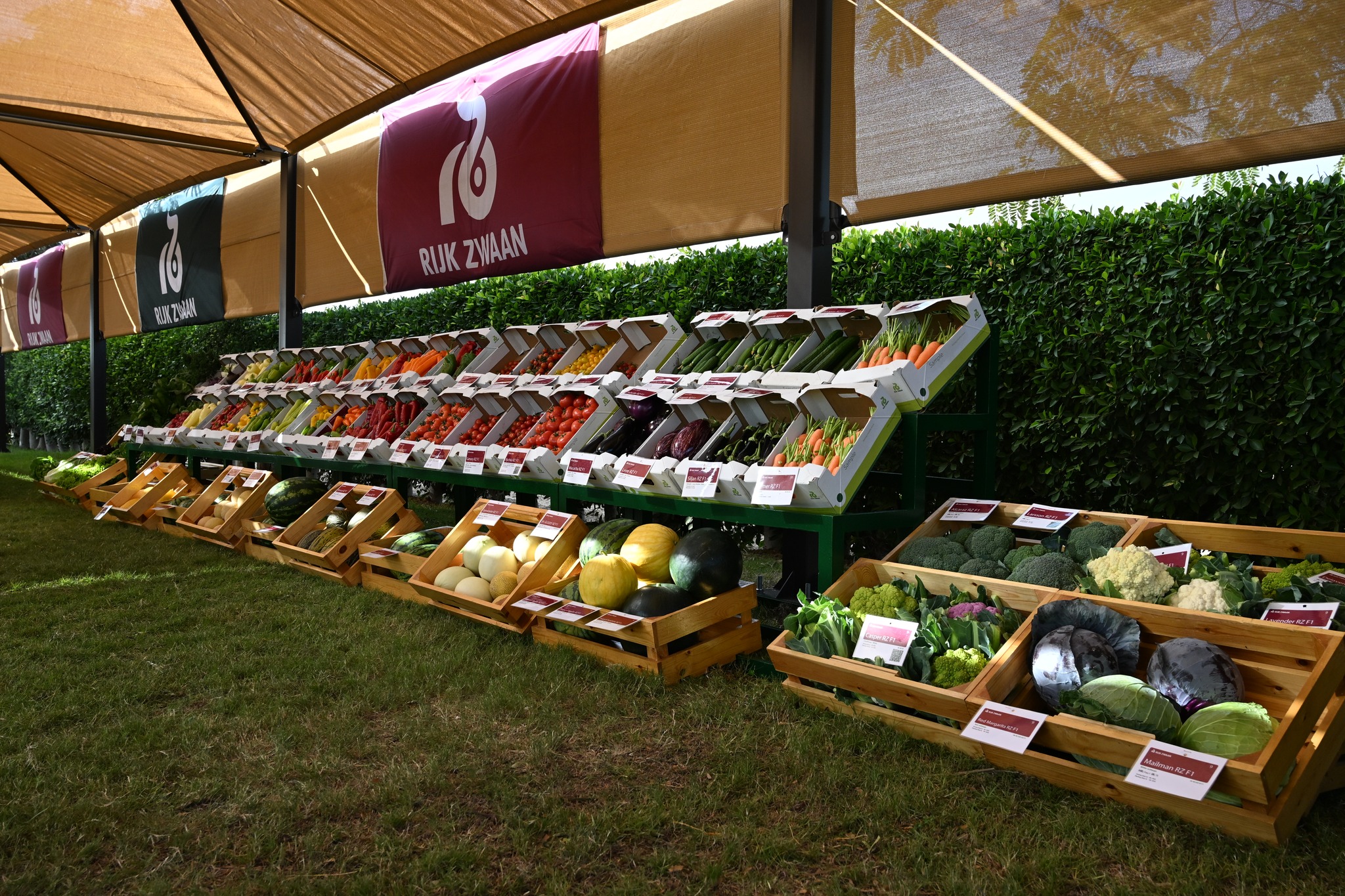 شركة «رايك زوان» الهولندية