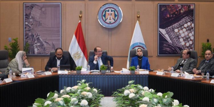 وزير المالية: إعلان استراتيجية السياسات الضريبية قبل نهاية العام المالي الحالي