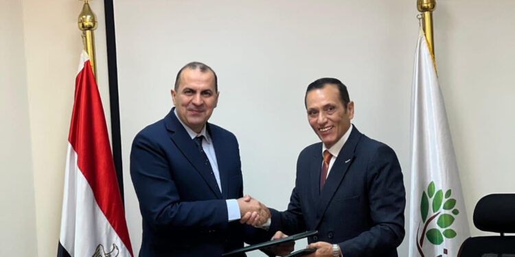 "الريف المصري" تستثمر نحو 25 مليار جنيه لتوصيل الكهرباء إلى مليون فدان