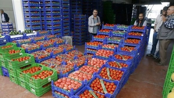 الحاصلات الزراعية