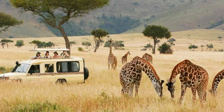 السياحة في أفريقيا