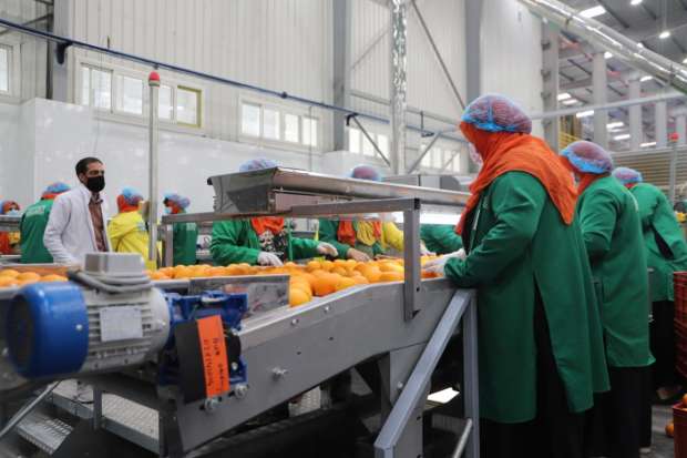 الصناعات الغذائية