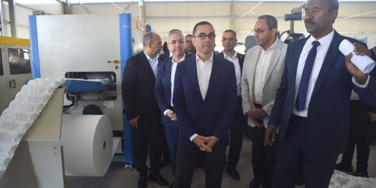 وزير الاستثمار في جولة بمحافظة الأقصر