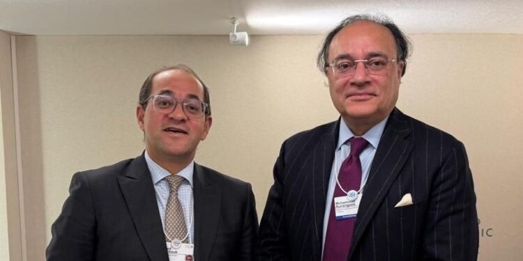 وزير المالية مع نظيره الباكستاني على هامش منتدى «دافوس»