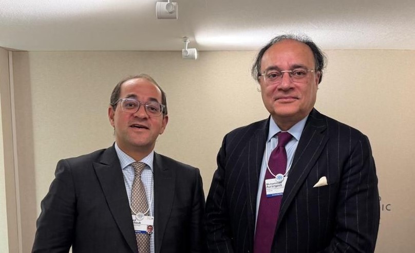 وزير المالية مع نظيره الباكستاني على هامش منتدى «دافوس»