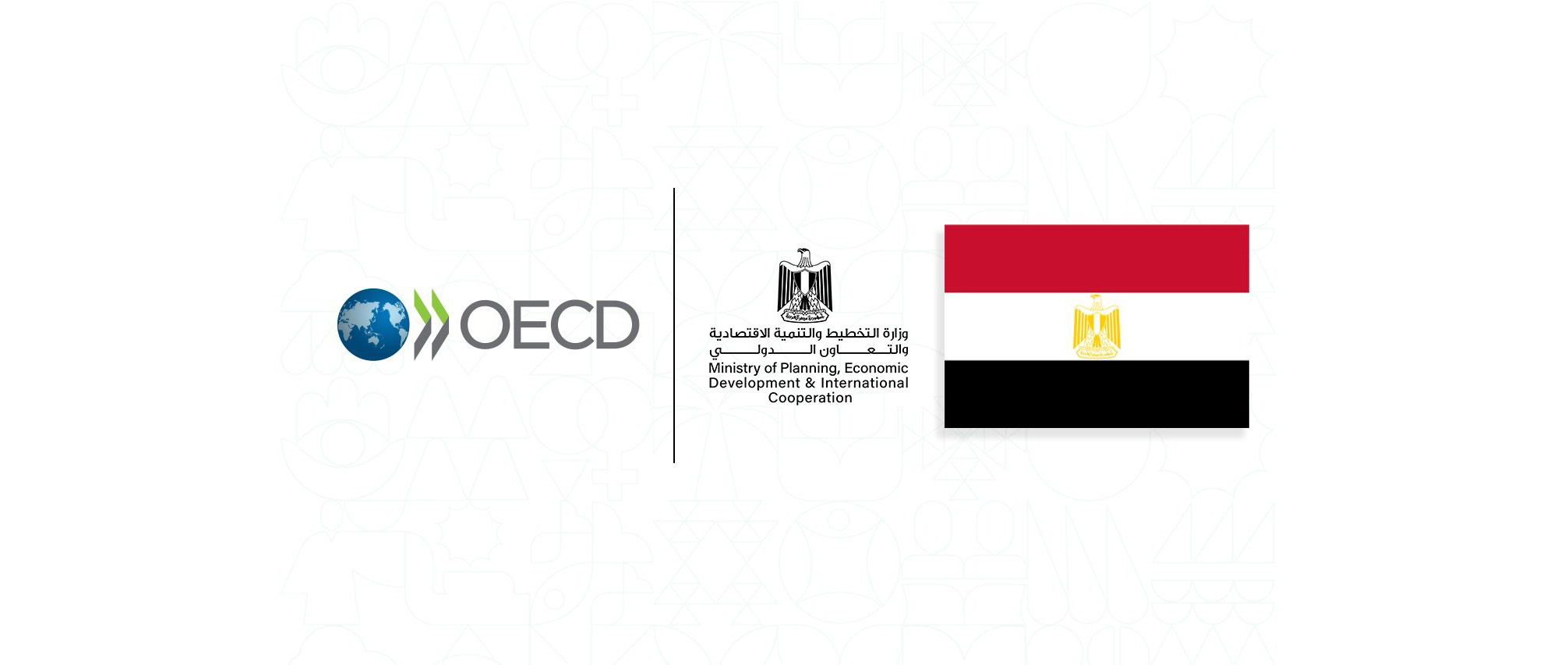 مصر تمدد البرنامج القُطري مع منظمة "OECD" حتى يونيو 2026