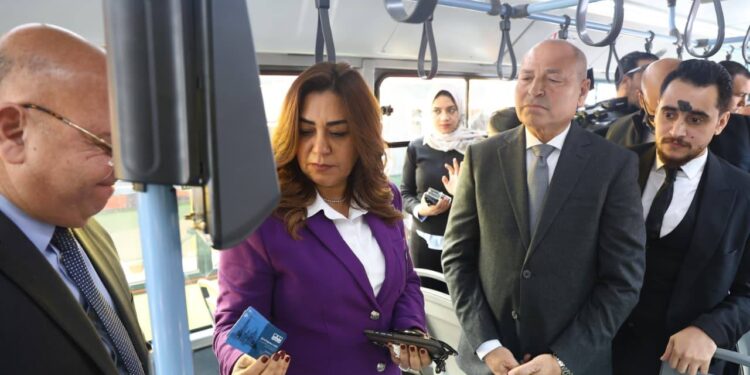 التنمية المحلية