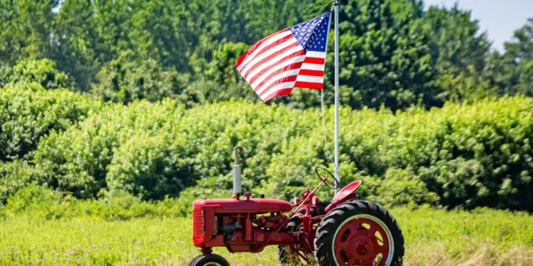 المزارعون الأمريكيون