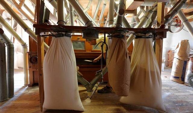 مطاحن مصر الوسطى