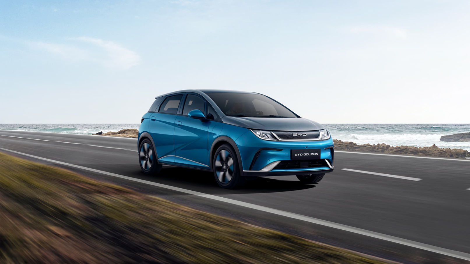 بى واى دى دولفين