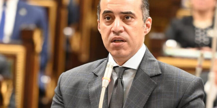 محمود فوزى، وزير الشئون النيابية والقانونية