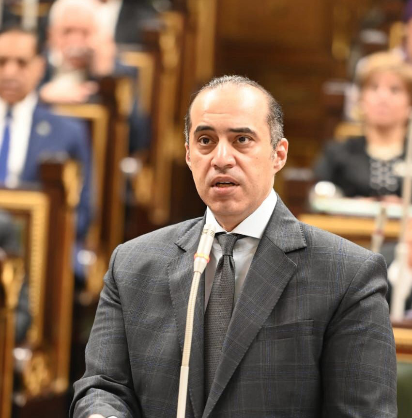 محمود فوزى، وزير الشئون النيابية والقانونية