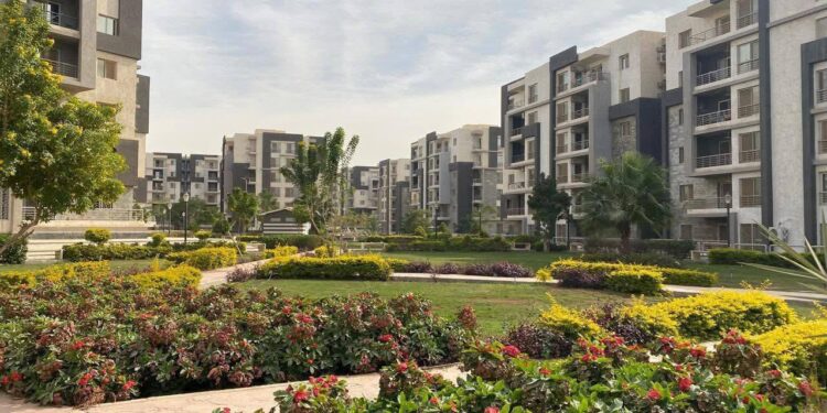 634557401 1482631040573978 6663323684885684587 n