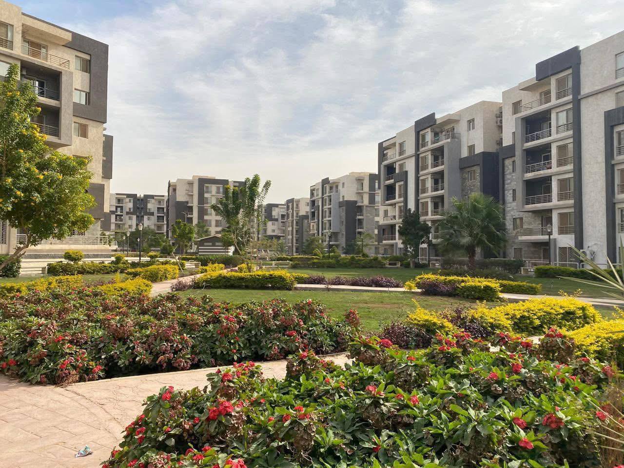 634557401 1482631040573978 6663323684885684587 n