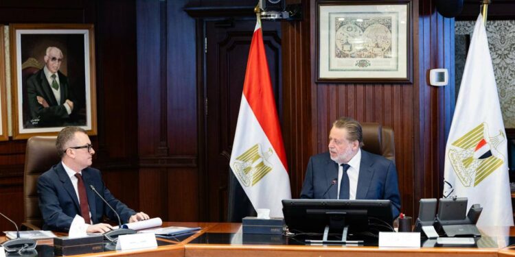 تنسيق بين "المركزي المصري" و"التخطيط" لضمان الاستقرار النقدي ودفع عجلة التنمية