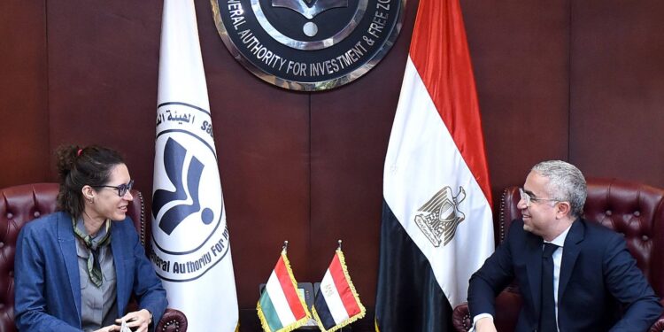 شركات مجرية مهتمة بالاستثمار في قطاع الطاقة المتجددة بمصر