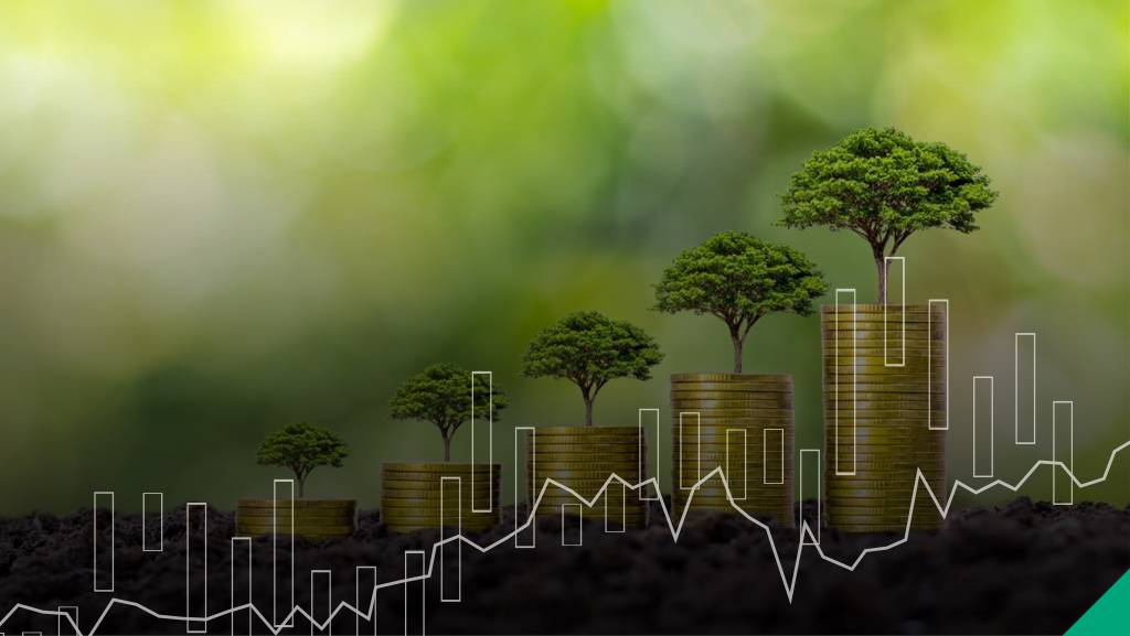 الاقتصاد الأخضر