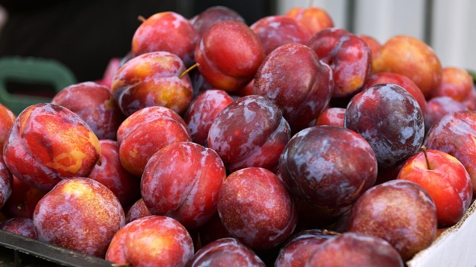 البرقوق الفاخر . سوق الفاكهة